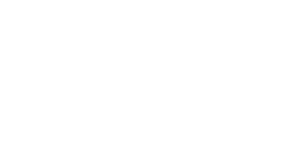 Navista Partner